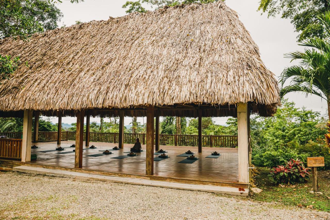 Copal Tree Lodge a Muy'Ono Resort Toledo District Exterior foto